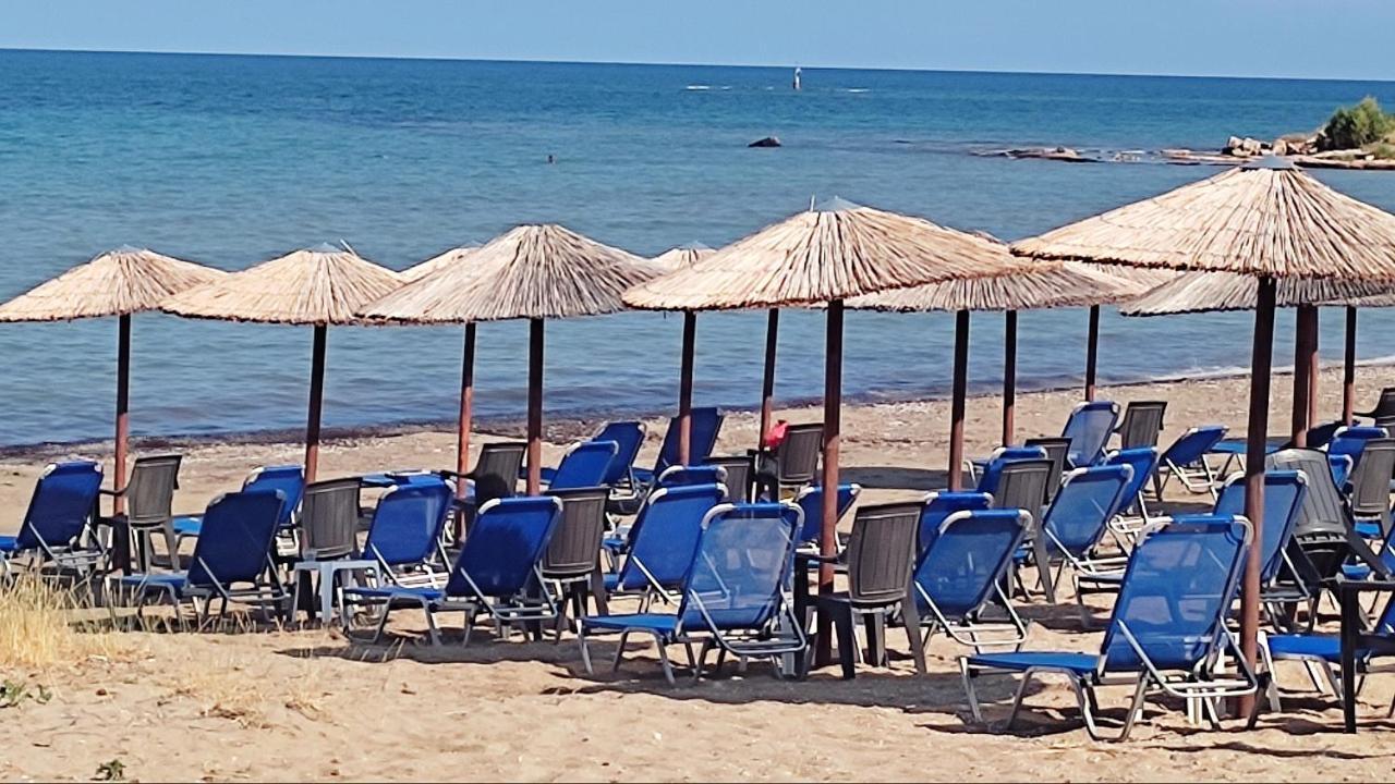 Beautiful Choice - Near Athens Airport - 50M From The Sea - Iq+ Apartman Ártemida Kültér fotó